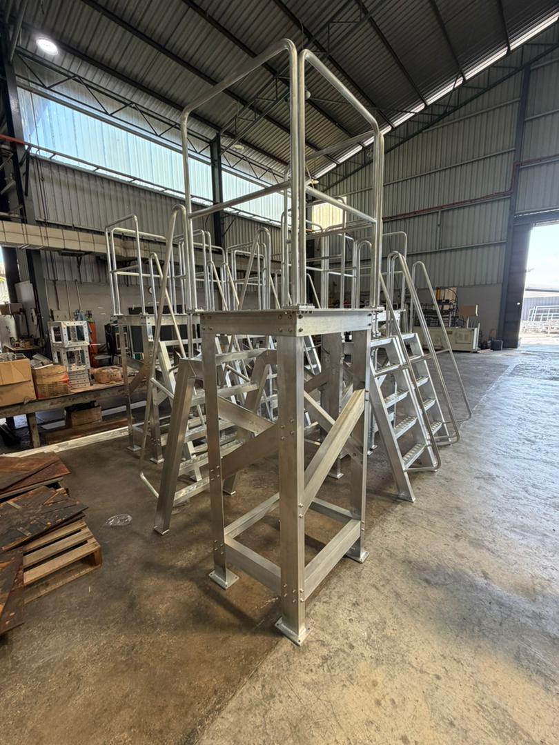 Platform Ladder with handle